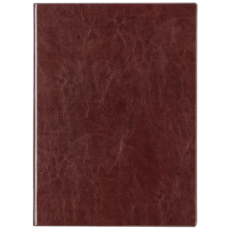 Deli-3185 Leather Cover Notebook