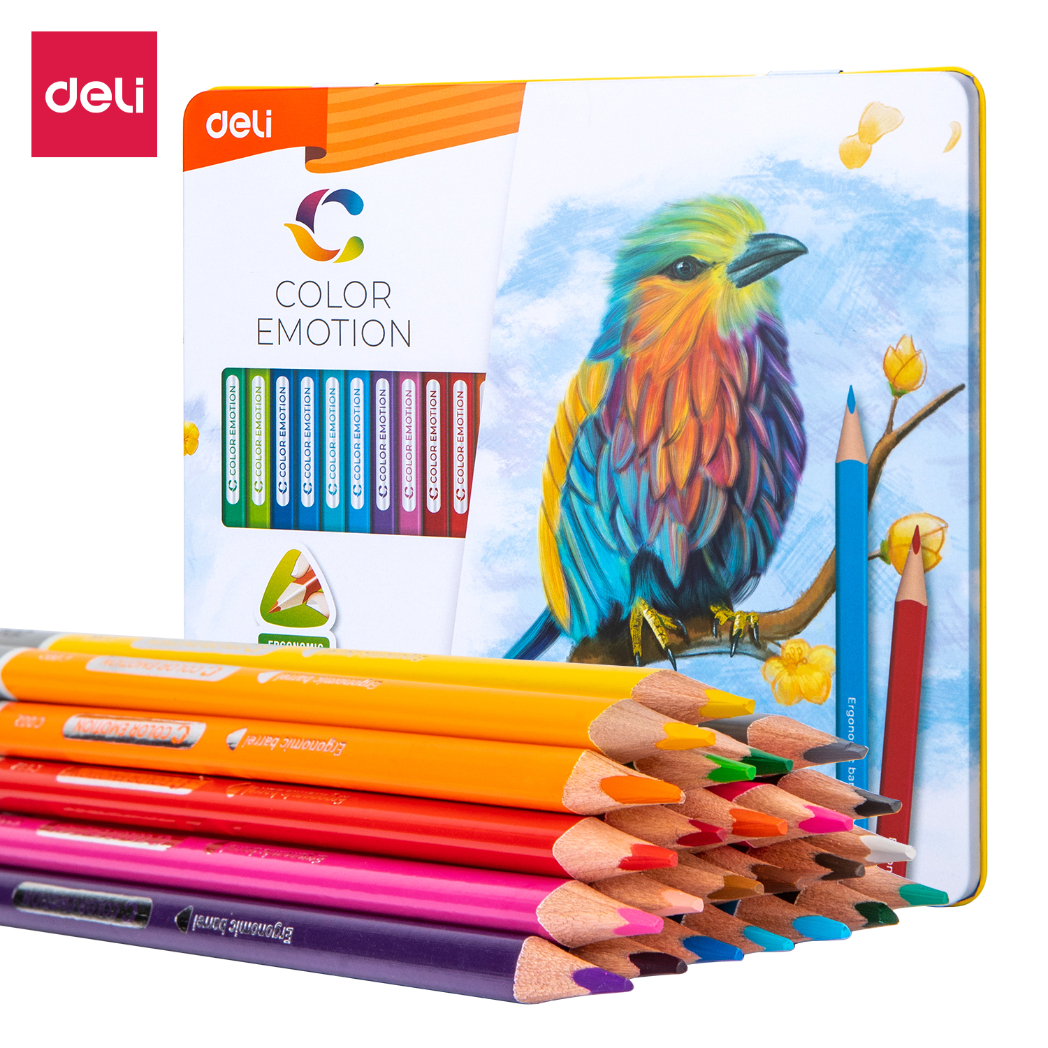 Deli-EC00225 Colored Pencil