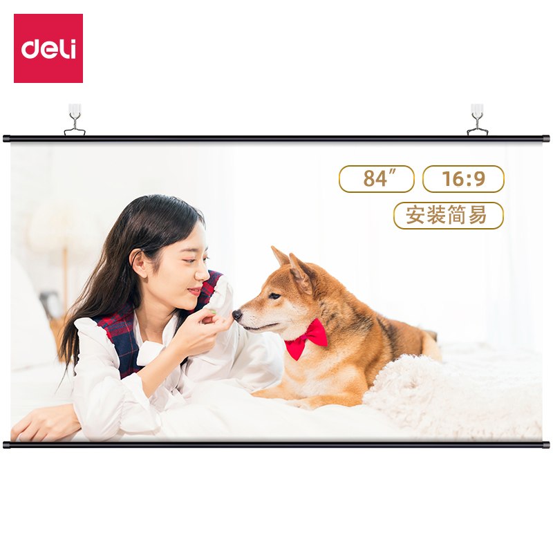 Deli-50446 Projection Screen