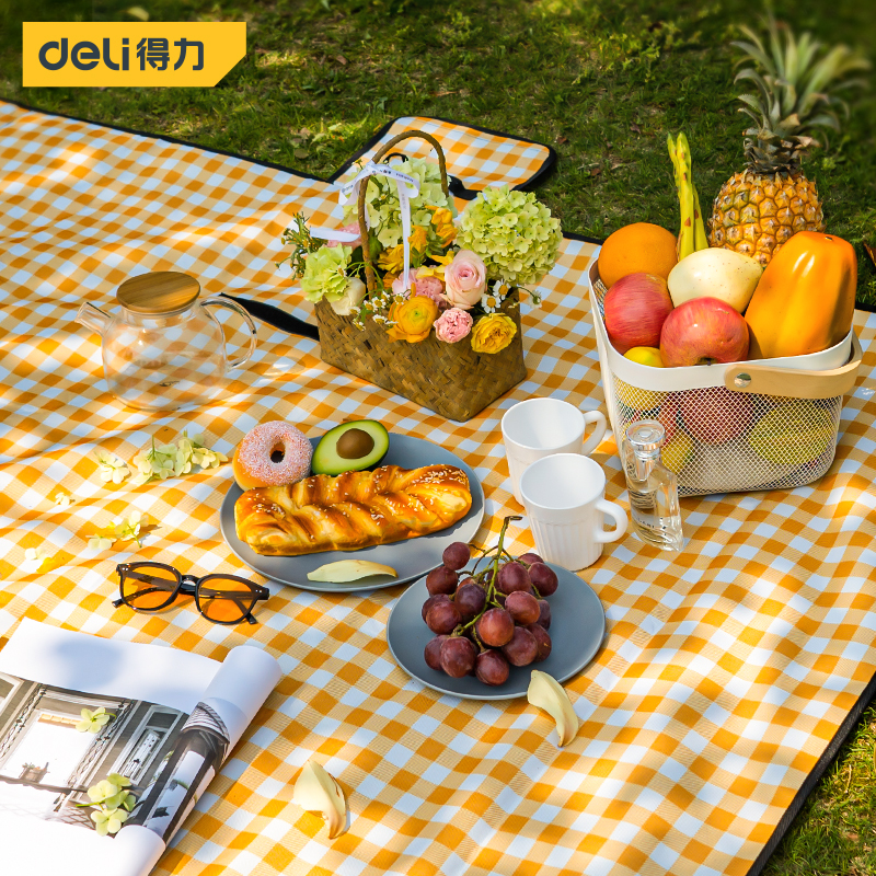 Deli-DL556201 Picnic Mat