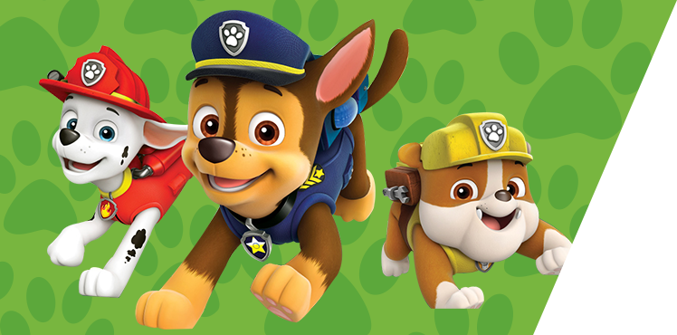 Deli Paw Patrol Stationery Introduction