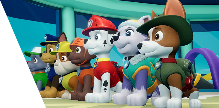 Deli Paw Patrol Stationery Introduction