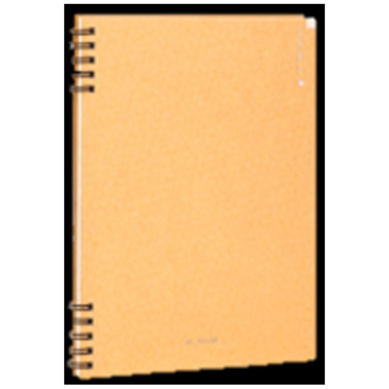 Deli-ENS291 Nusign Notebook