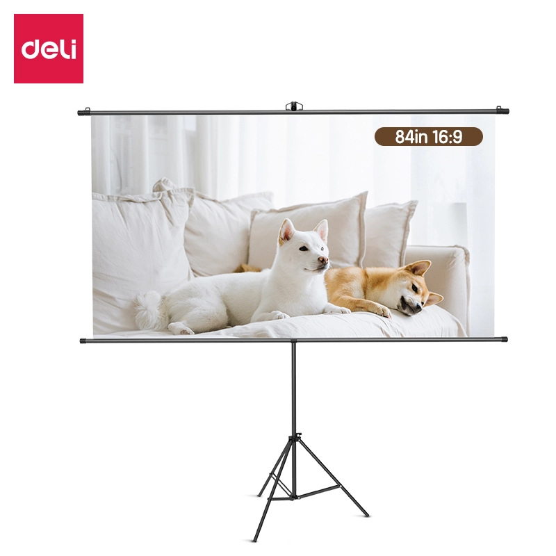 deli es902 projector screen1