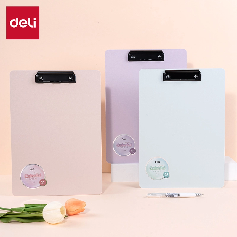 Deli-EF313 File Folder