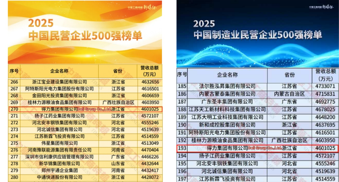 deli-ranks-33-places-higher-in-the-2025-china-top-500.png